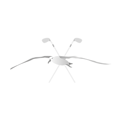 Golfartiklar, golfbanor, kurser och golfprofiler  | Bättregolf.se